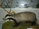 DSC00665.jpg