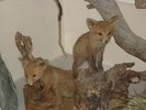 DSC00670.jpg