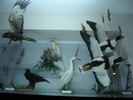 DSC00673.jpg
