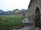 DSC00728.jpg