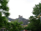 IMG_3340.jpg